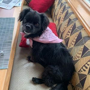 Meet your Posher, Maya